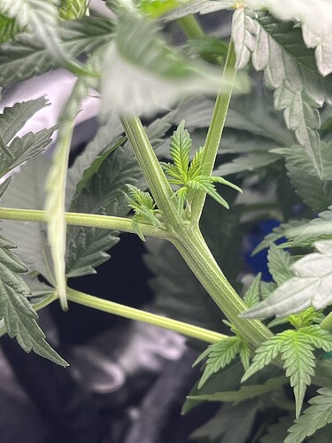 Growreport Bild 13