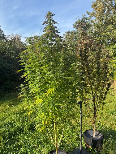 Growreport Bild 20