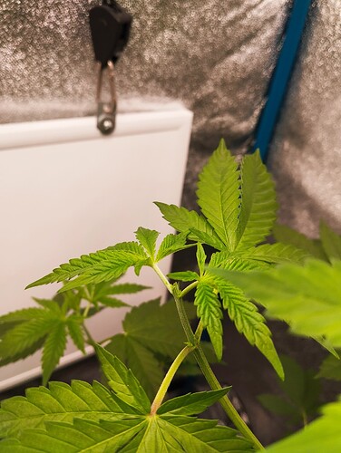 Growreport Bild 11