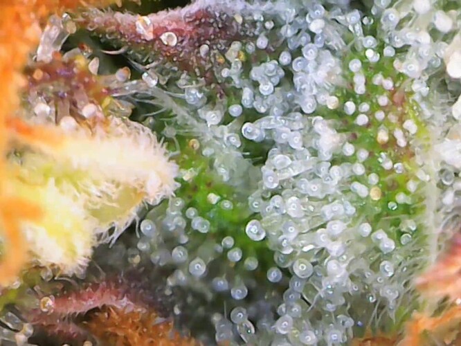 cap_Video_2025-06-07 19_21_33_884_00_03_54_08