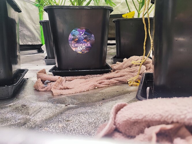 Growreport Bild 28