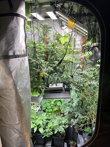 Growreport Bild 15