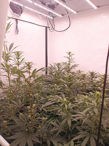 Growreport Bild 2