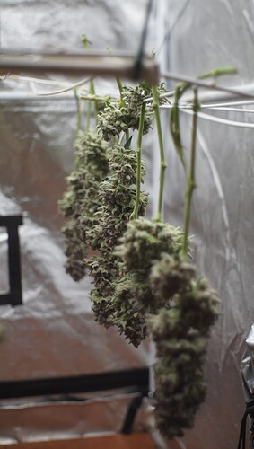 Growreport Bild 3
