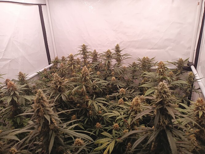 Growreport Bild 12