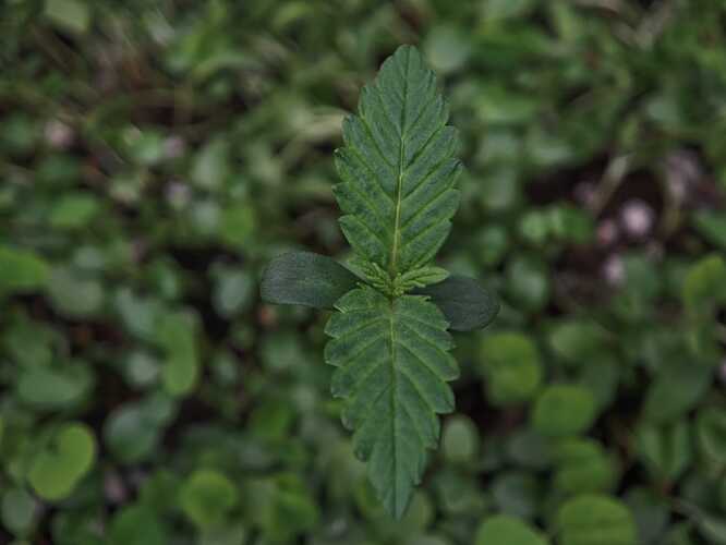 Growreport Bild 10