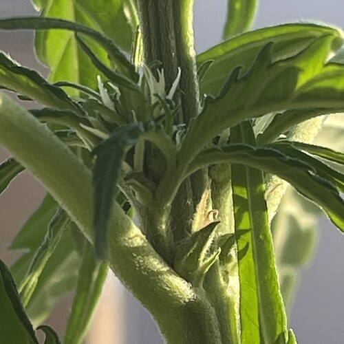 Growreport Bild 10