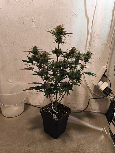 Growreport Bild 3