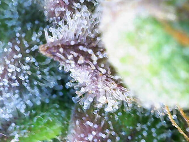 Photo_2024-07-06 20_01_09_002