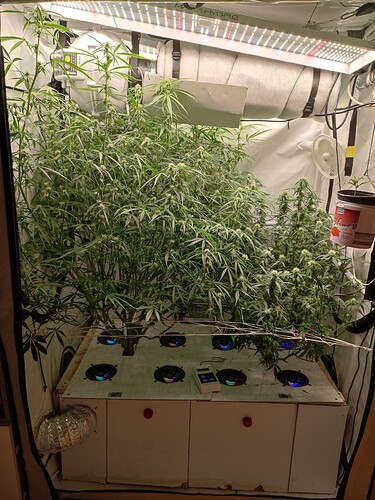 Growreport Bild 10
