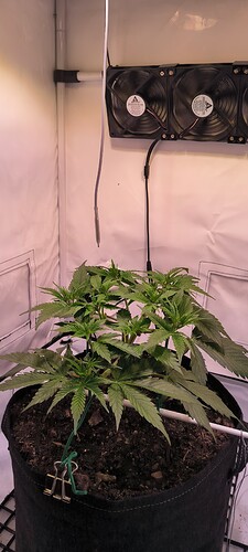 Growreport Bild 8