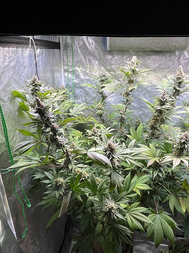 Growreport Bild 13
