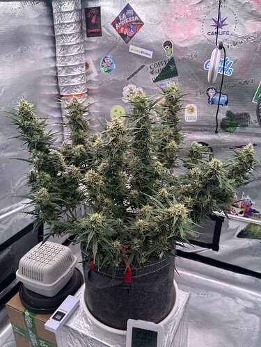 Growreport Bild 26