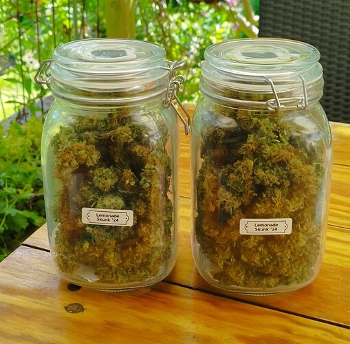 Growreport Bild 11