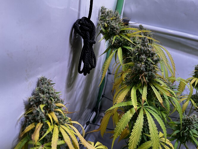 Growreport Bild 13