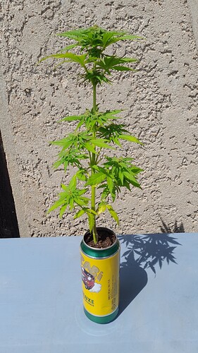 Growreport Bild 17