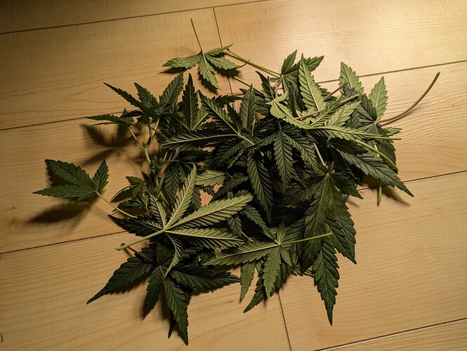 Growreport Bild 25
