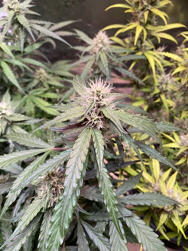 Growreport Bild 21