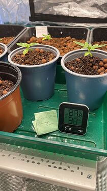 WhatsApp Image 2024-03-26 at 10.56.53