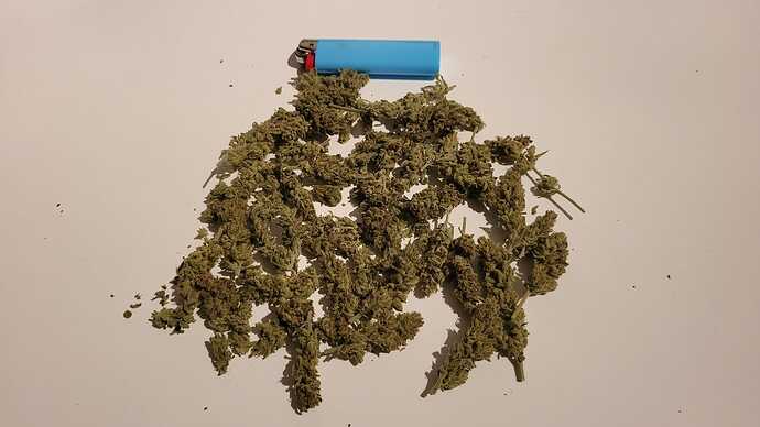 Growreport Bild 30