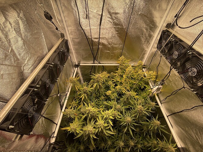 Growreport Bild 10