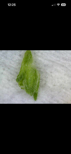 Growreport Bild 20