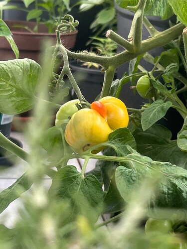 Growreport Bild 21