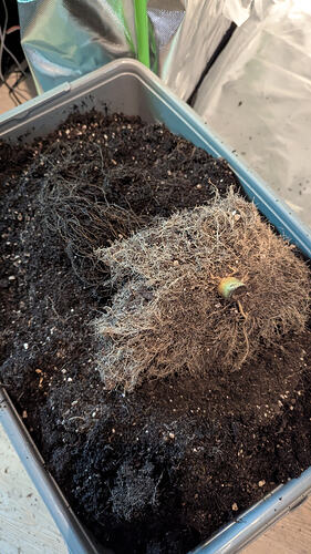 Growreport Bild 10