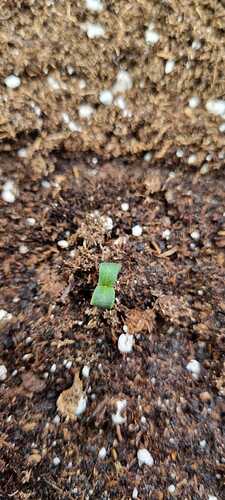 WhatsApp Image 2025-11-19 at 21.56.44