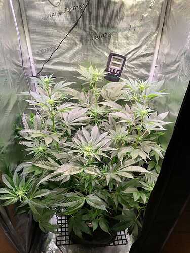 Growreport Bild 1