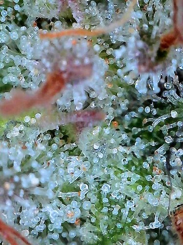 2025-07-25-23-26-34-064