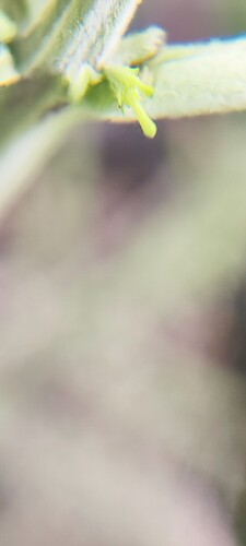658825531-718636993-IMG_20251111_170649