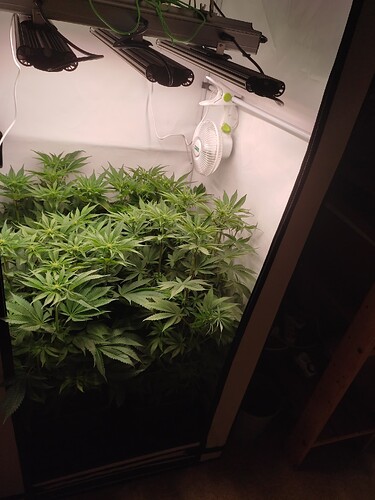 Growreport Bild 9