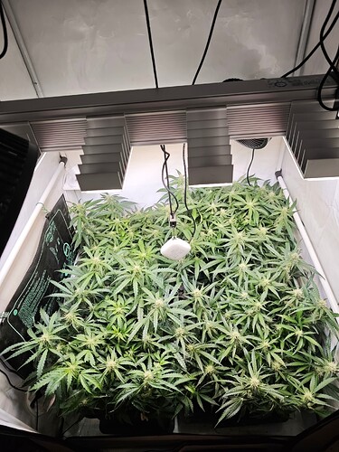 MVIMG_20251028_175527