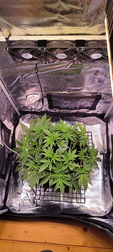 Growreport Bild 17