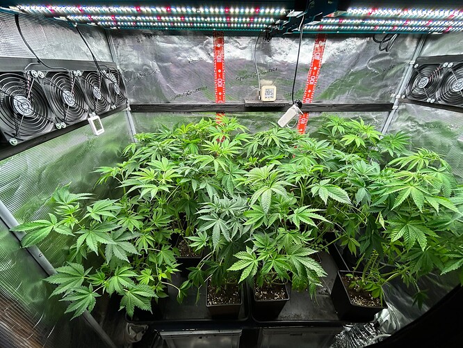 Growreport Bild 5