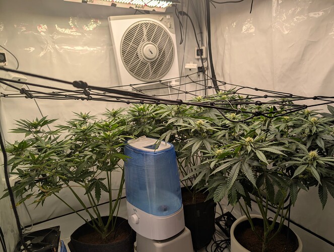 PXL_20250726_173504362.RAW-01.COVER