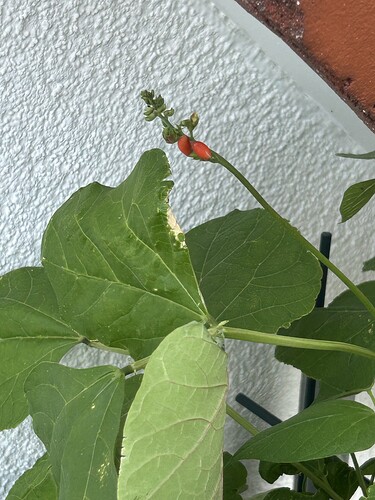 Growreport Bild 14