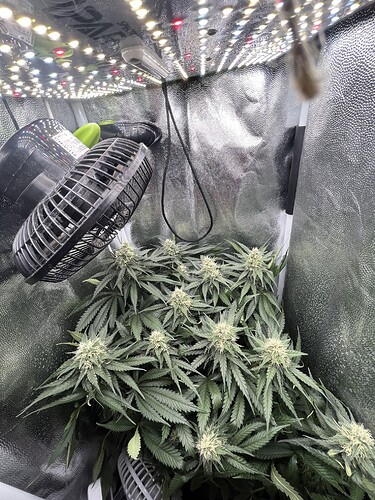 Growreport Bild 1
