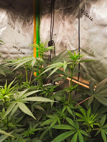 Growreport Bild 14