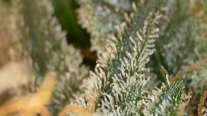 2024-08-18-08-23-18-199