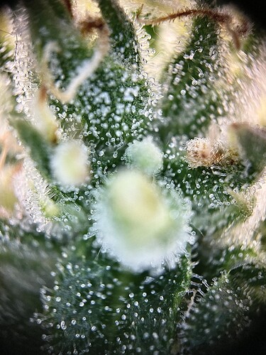 Growreport Bild 21