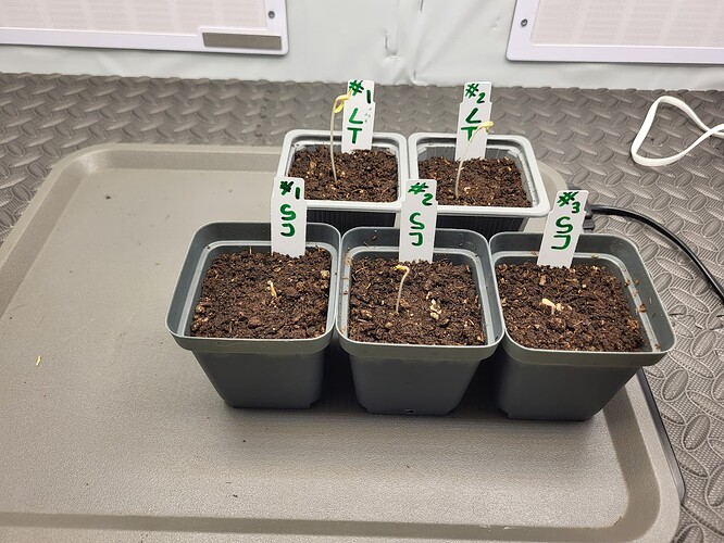 Growreport Bild 2