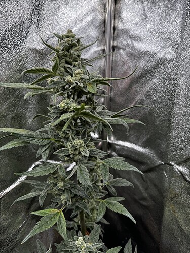 20240609_101956337_iOS