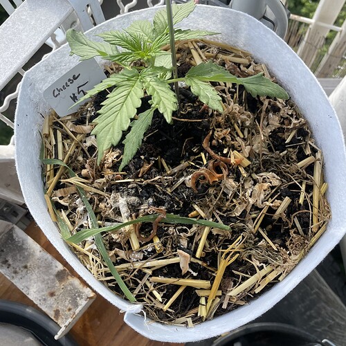 Growreport Bild 2