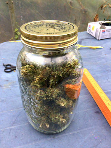Grow26090201