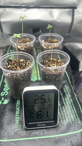 Growreport Bild 2