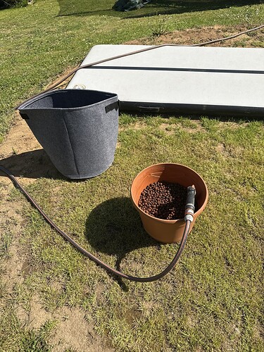 Growreport Bild 36