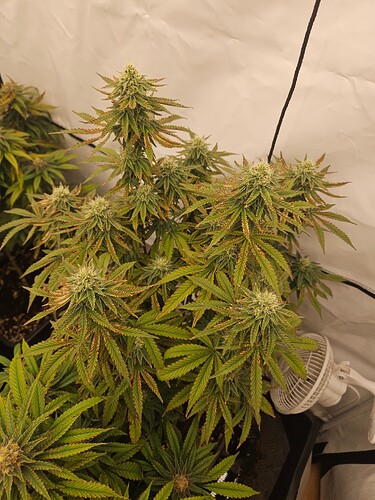 Growreport Bild 8