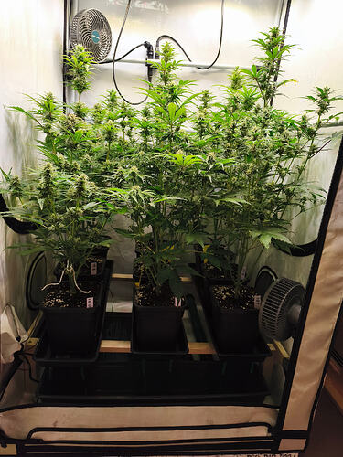 Growreport Bild 8